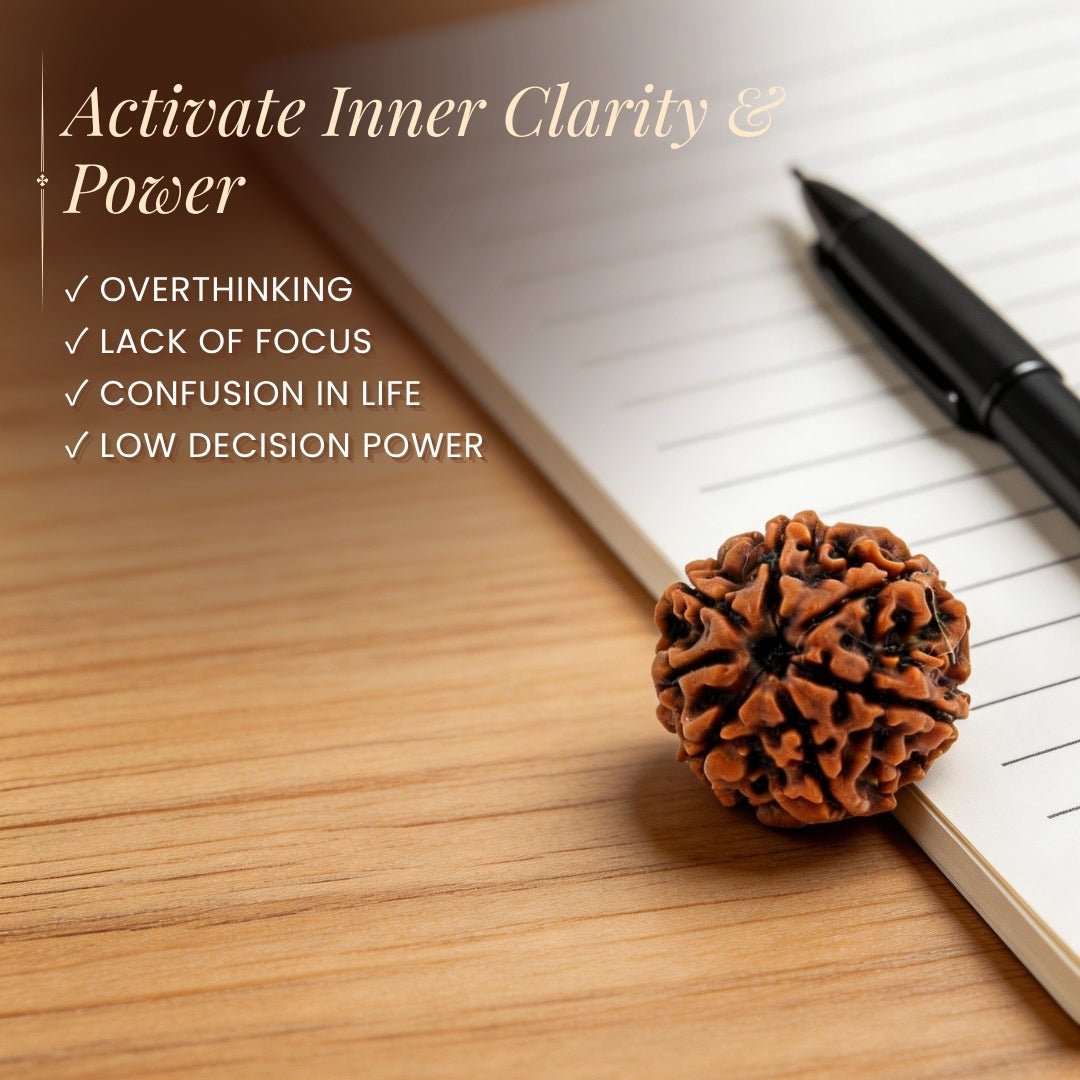 1 Mukhi Rudraksha Ek Mukhi One Face Original Rudraksha - plusvalueindia