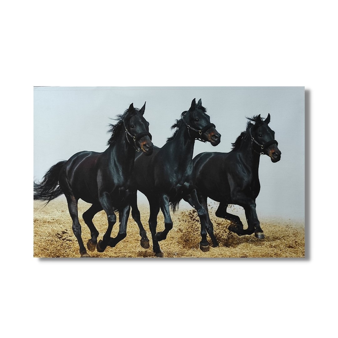 3 black running horses canvas print vastu & feng shui
