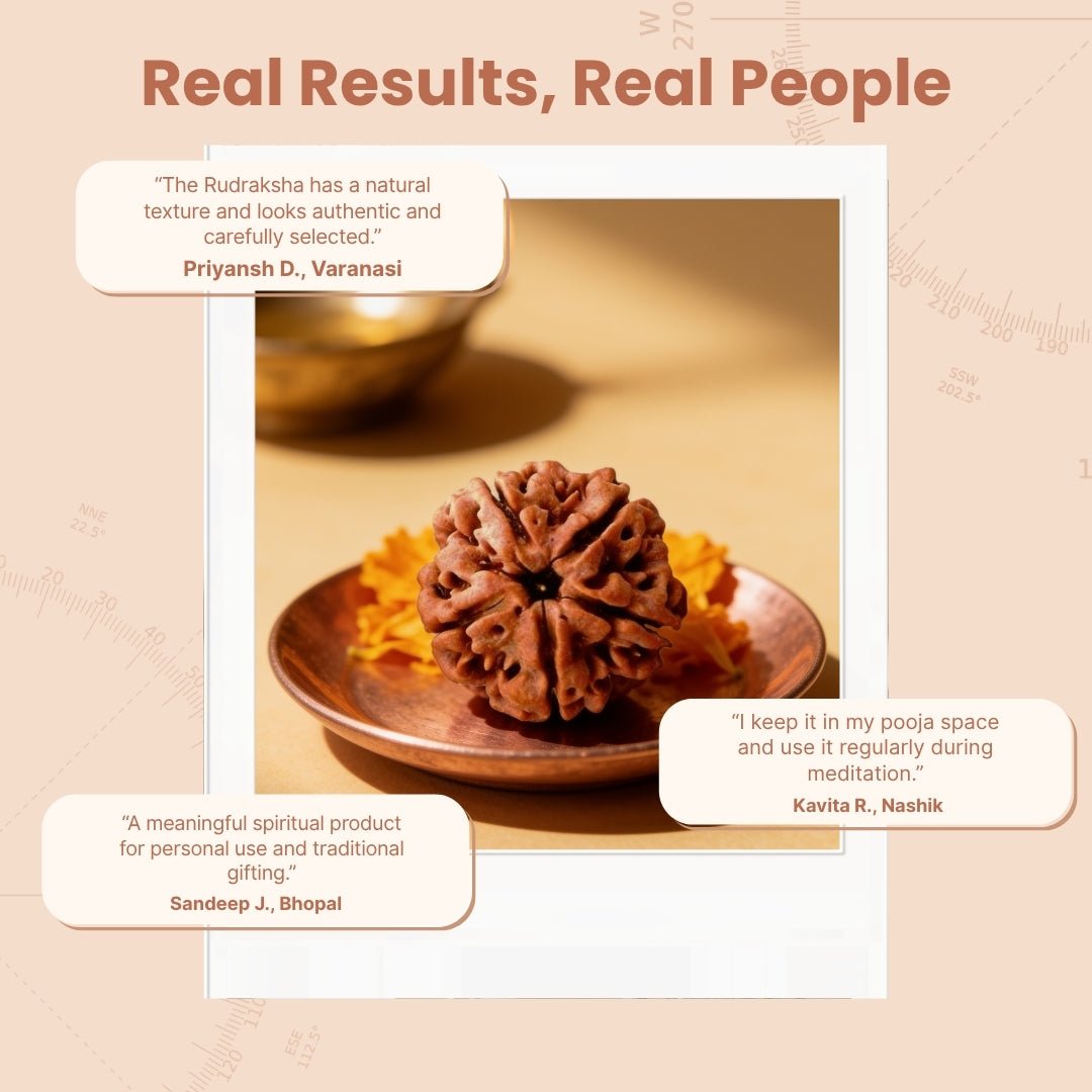 5 Mukhi Rudraksha Five Face Paanch Mukhi Original Nepali Rudraksha - plusvalueindia