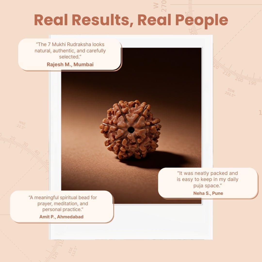 7 Mukhi Seven Face Saat Mukhi Rudraksha Original Mahalakshami Rudraksha - plusvalueindia
