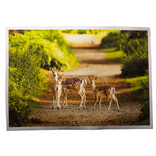 Deer Canvas Painting