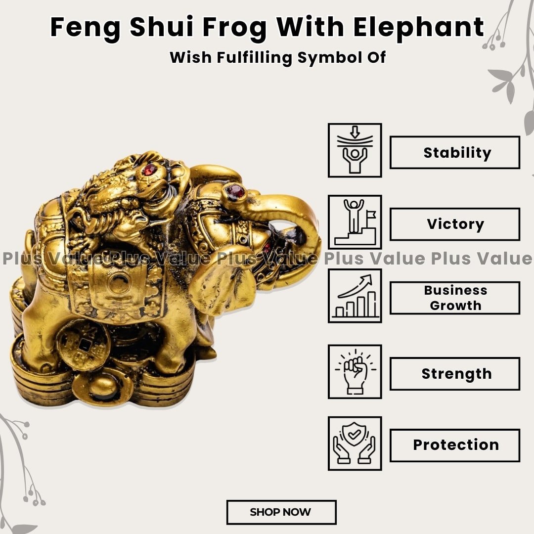Feng Shui Frog With Elephant