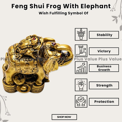 Feng Shui Frog With Elephant