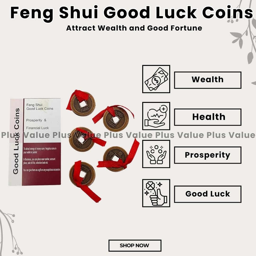Feng Shui Good Luck Coins