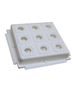 Buy Jiten Bemor 9x9 (Vastu Yantra for Main Door) Online in India