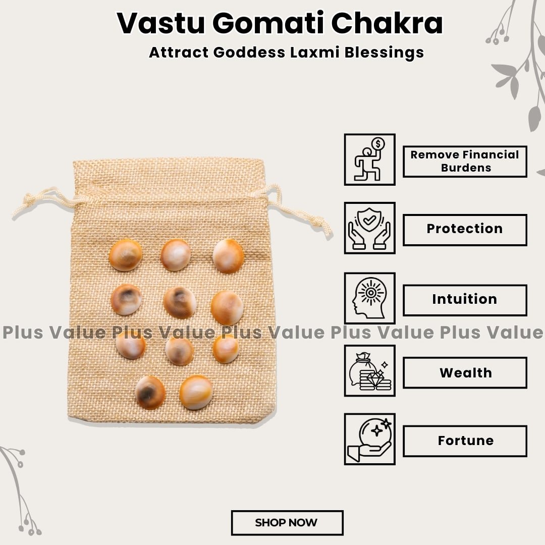 Vastu Gomati Chakra