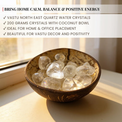 Vastu North East Quartz Water Crystals in Coconut Bowl - plusvalueindia