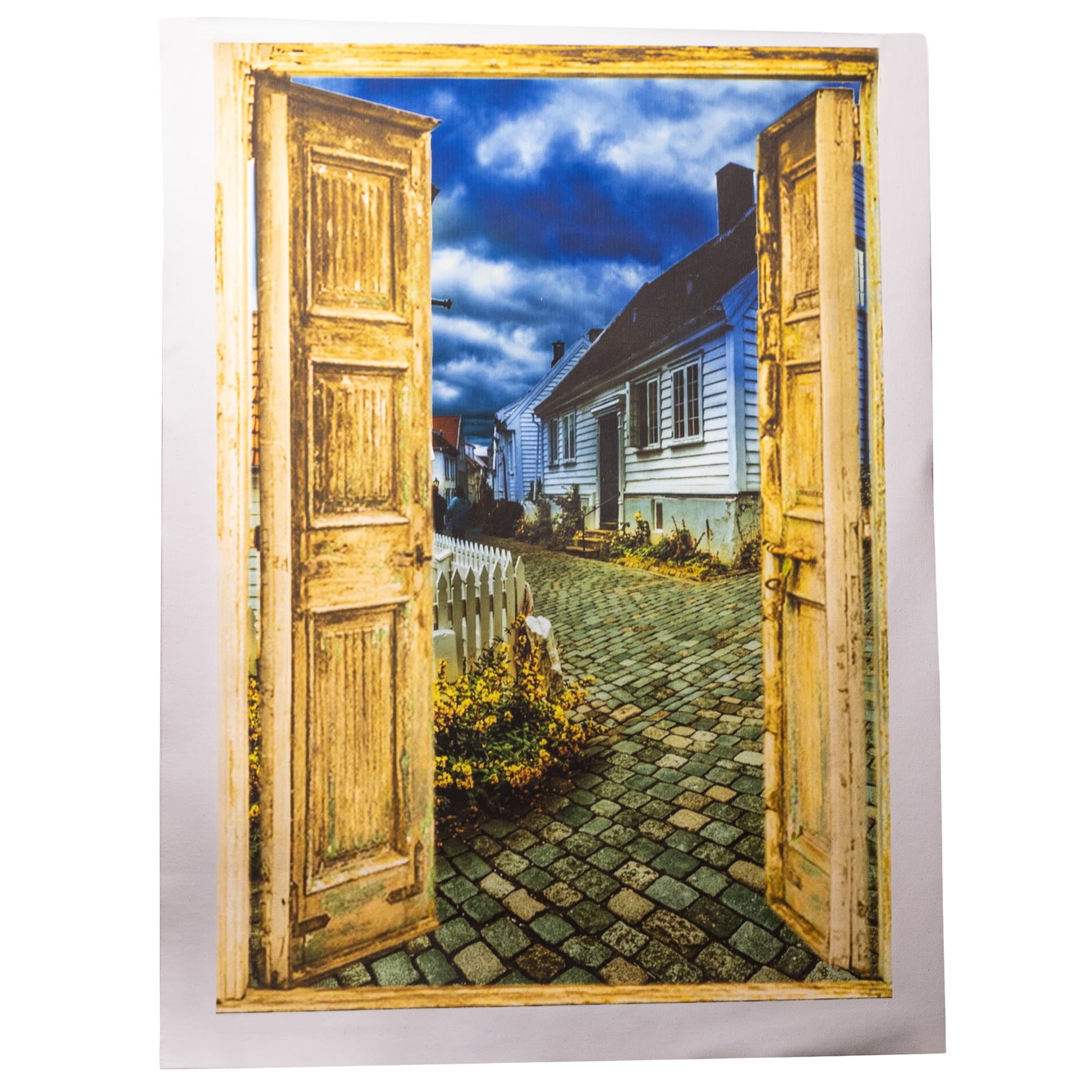 Virtual Door Painting Canvas Print