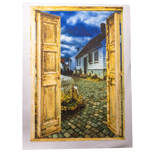 Virtual Door Painting Canvas Print