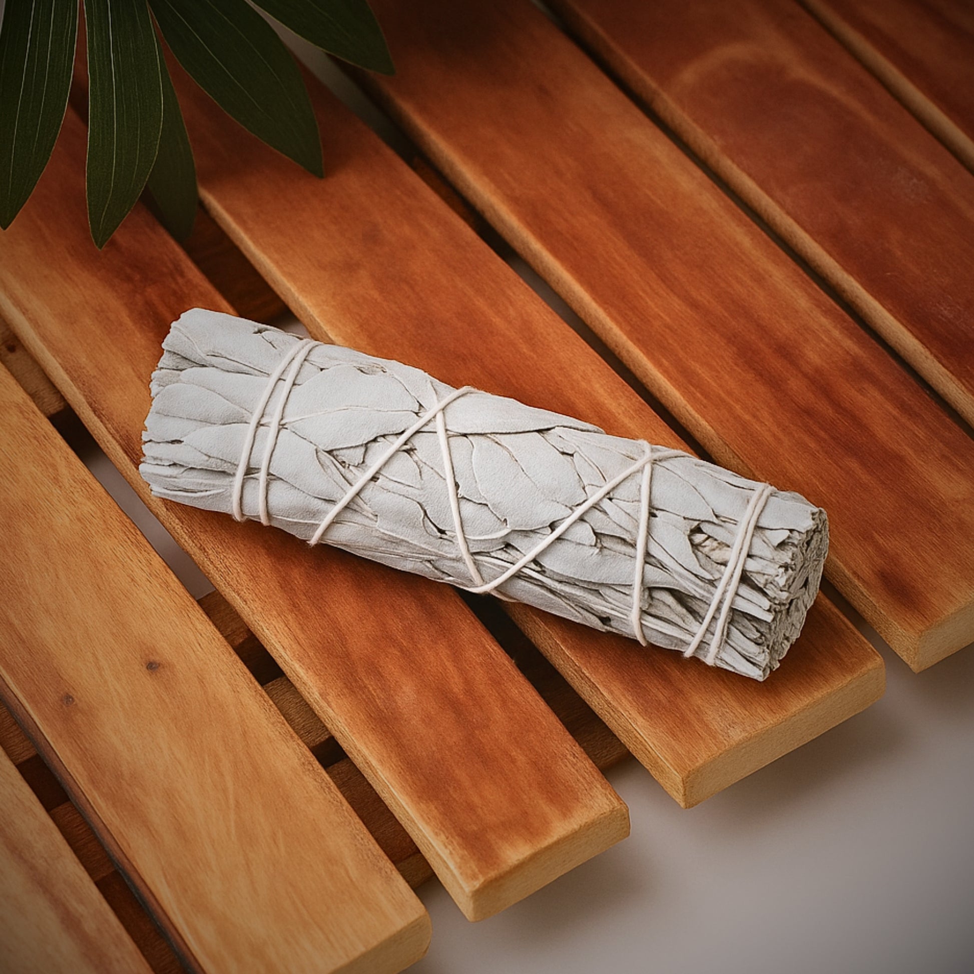 sage-stick-1pkt