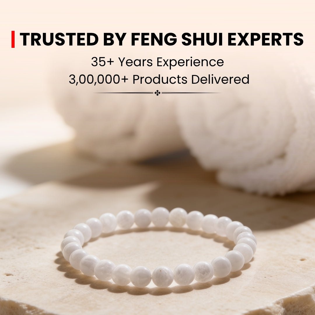 White Rainbow Moonstone Bracelet - plusvalueindia