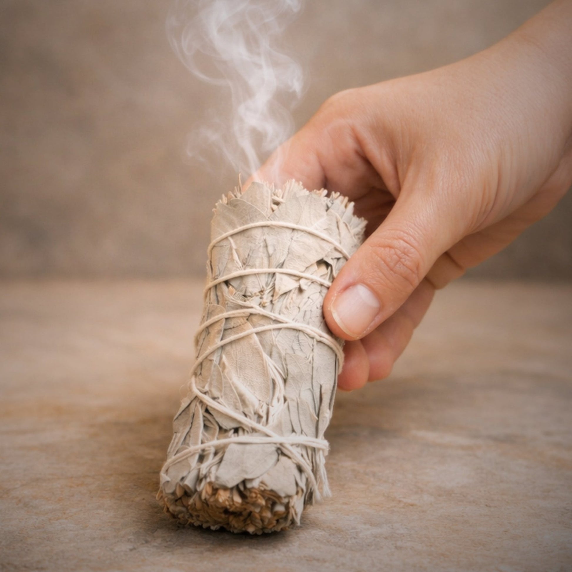 White California Sage Smudge Sticks – Purify, Cleanse & Refresh Your Space - plusvalueindia