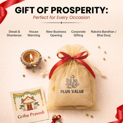 Wealth Abundance Crystal Bag for Prosperity & Good Luck [Best Seller] - plusvalueindia