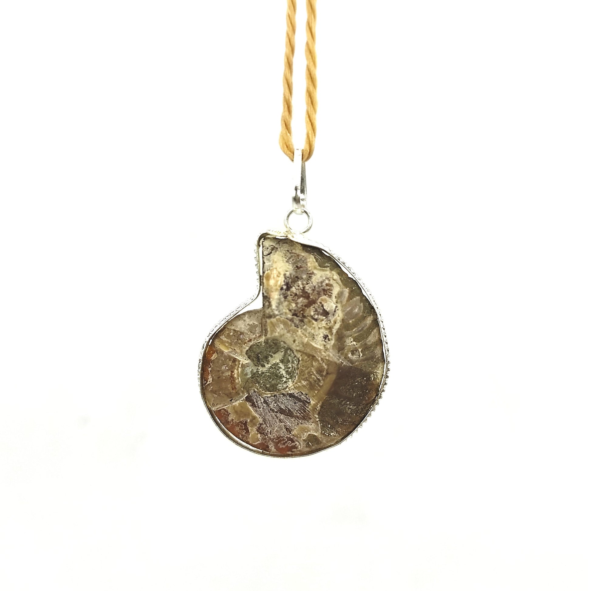 ammonite stone pendant healing reiki crystal