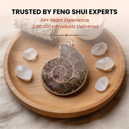 Ammonite Stone Pendant Reiki Healing Crystal - plusvalueindia