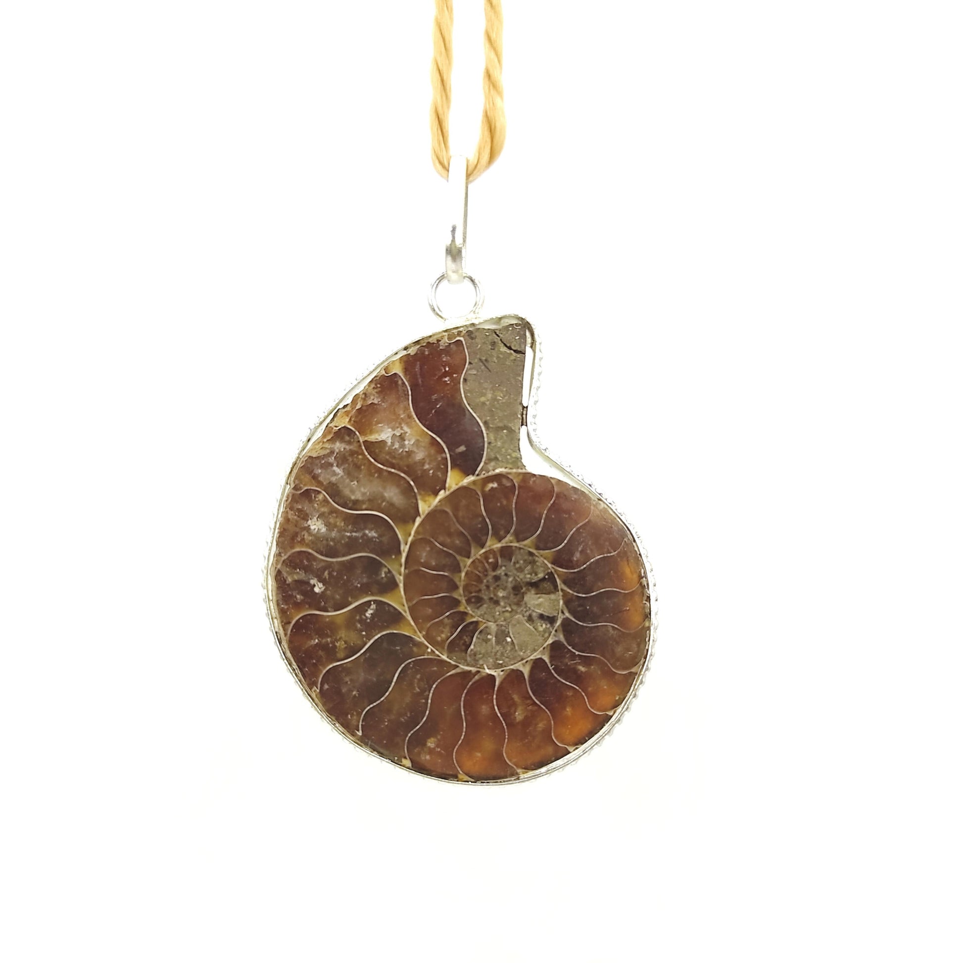 ammonite stone pendant reiki healing