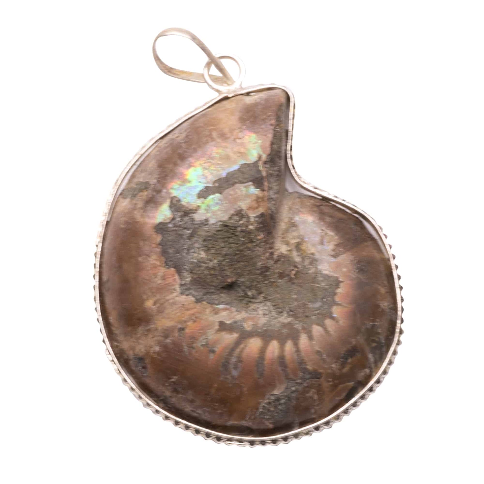 ammonite stone pendant reiki