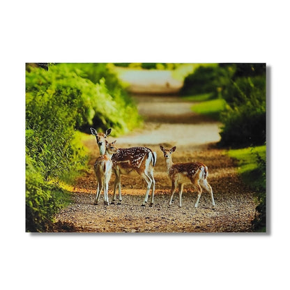 beautiful deer paintings canvas print vastu feng shui product