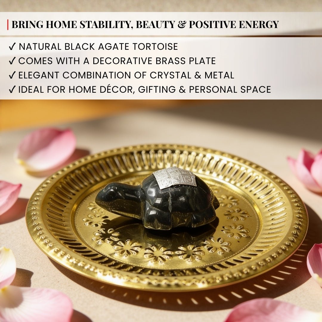 Vastu Feng Shui Black Agate Tortoise with Brass Plate - plusvalueindia