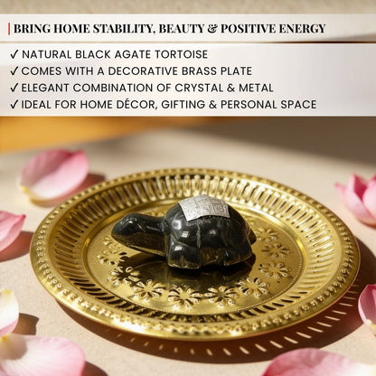 Vastu Feng Shui Black Agate Tortoise with Brass Plate - plusvalueindia