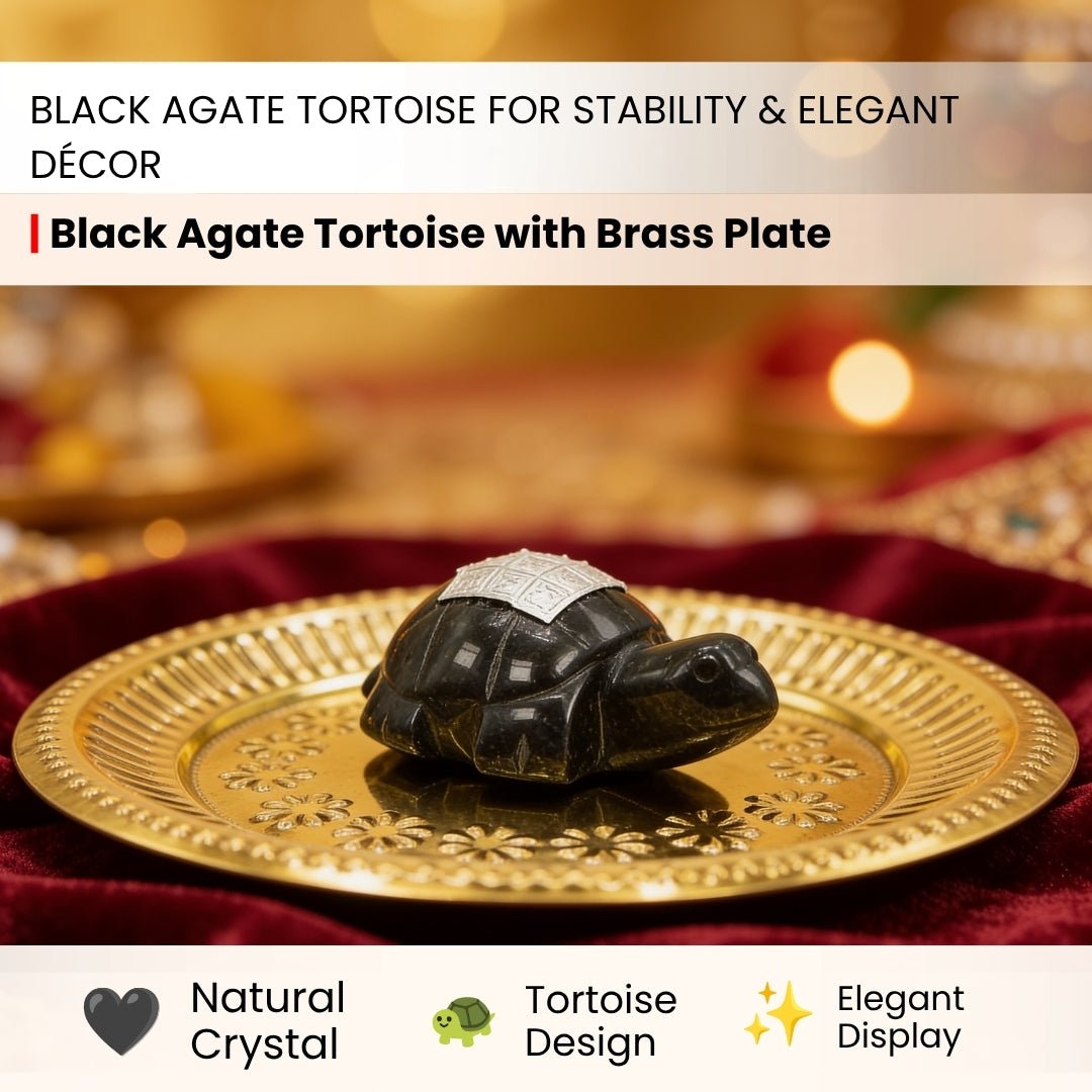 Vastu Feng Shui Black Agate Tortoise with Brass Plate - plusvalueindia