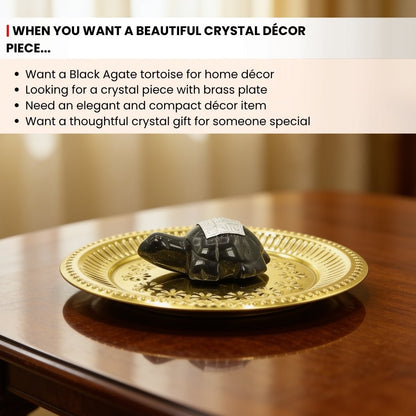 Vastu Feng Shui Black Agate Tortoise with Brass Plate - plusvalueindia