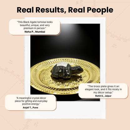 Vastu Feng Shui Black Agate Tortoise with Brass Plate - plusvalueindia