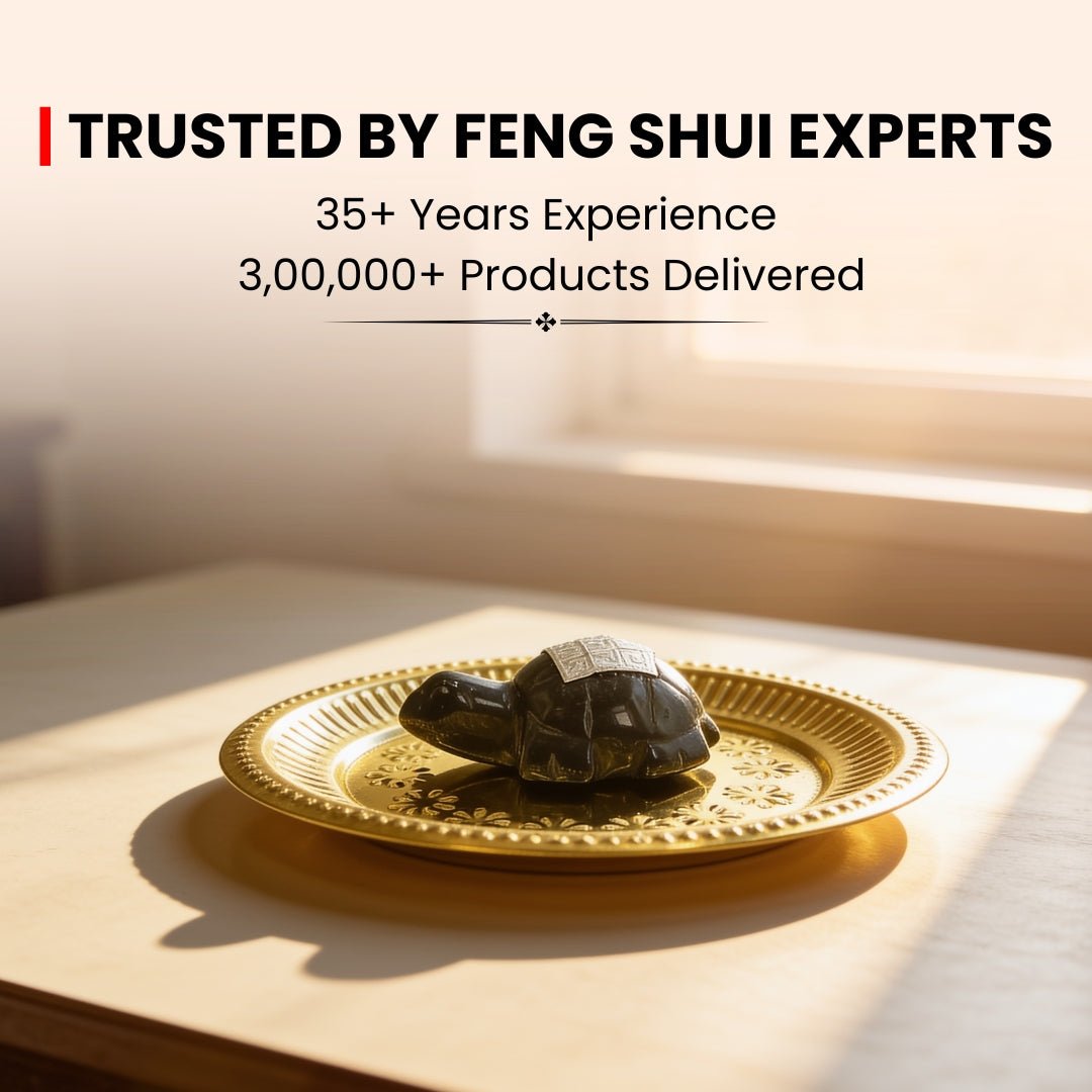 Vastu Feng Shui Black Agate Tortoise with Brass Plate - plusvalueindia