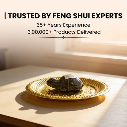 Vastu Feng Shui Black Agate Tortoise with Brass Plate - plusvalueindia