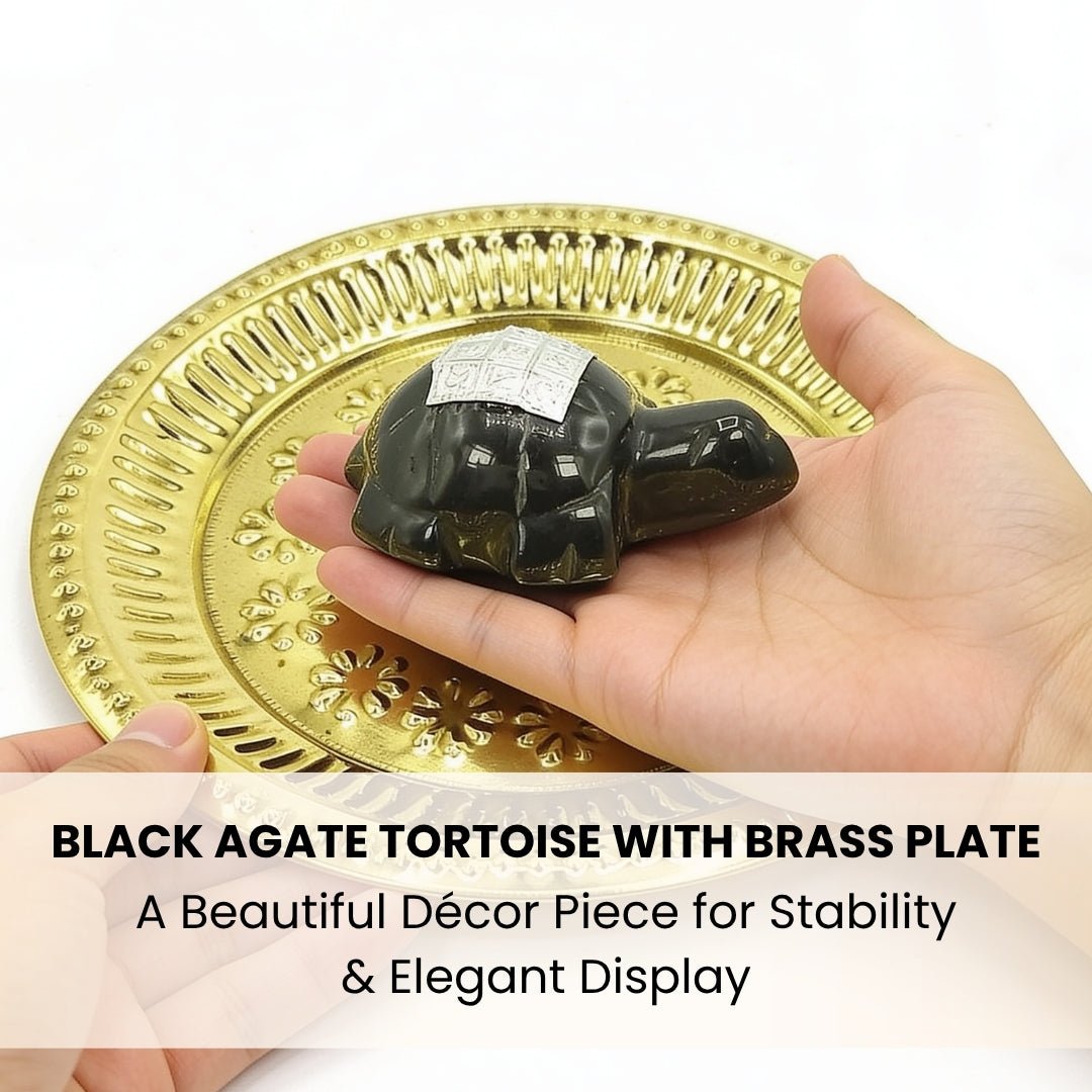 Vastu Feng Shui Black Agate Tortoise with Brass Plate - plusvalueindia