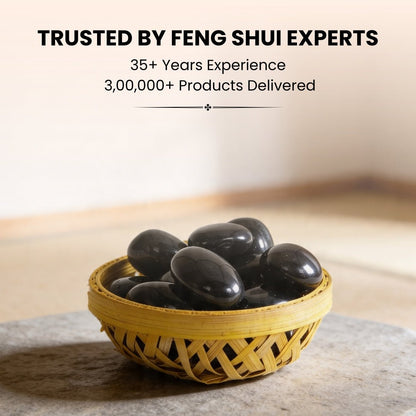 Black Rainbow Obsidian Tumbled Stone Pebbles - plusvalueindia