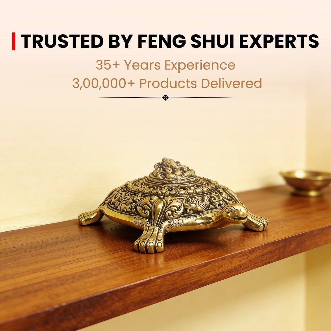 Premium Brass Ganesha Tortoise Home & Office Vastu Decor - 1.420 Kg - plusvalueindia