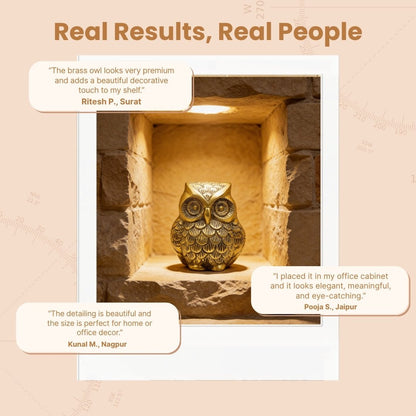 Brass Owl Handicraft Fengshui Vaastu Symbol of Good Luck, Wisdom & Protection Decorative Showpiece Statue | Home & Office Decor - plusvalueindia