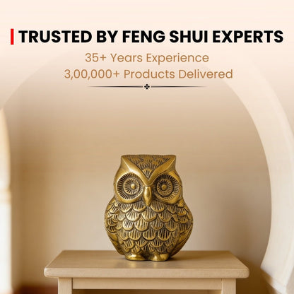 Brass Owl Handicraft Fengshui Vaastu Symbol of Good Luck, Wisdom & Protection Decorative Showpiece Statue | Home & Office Decor - plusvalueindia