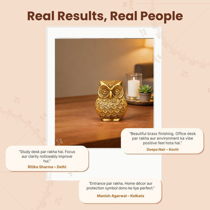 Brass Owl Handicraft Fengshui Vaastu Symbol of Good Luck, Wisdom & Protection Decorative Showpiece Statue | Home & Office Decor - plusvalueindia