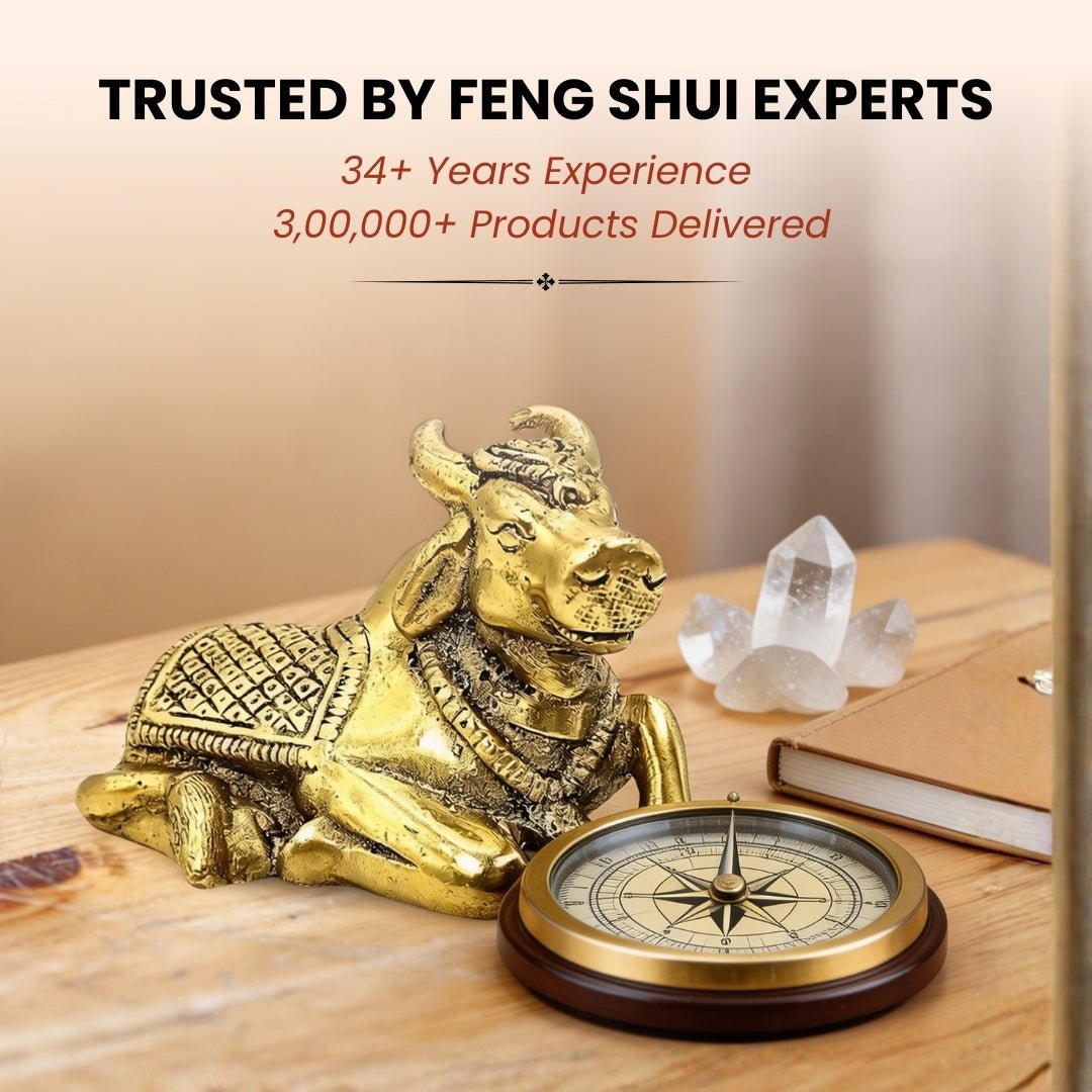 Brass Vastu Nandi Bull – Mahavastu Remedy for Business Protection and Harmony - plusvalueindia