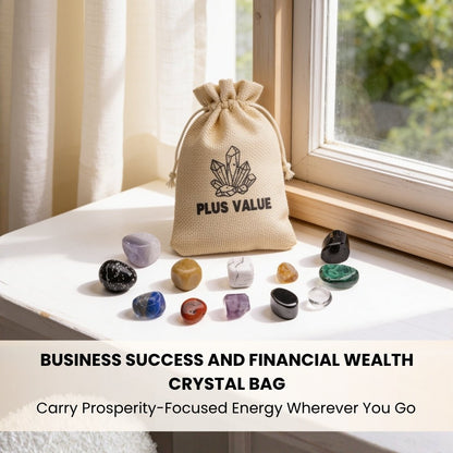 Business Success and Financial Wealth Crystal Bag - plusvalueindia