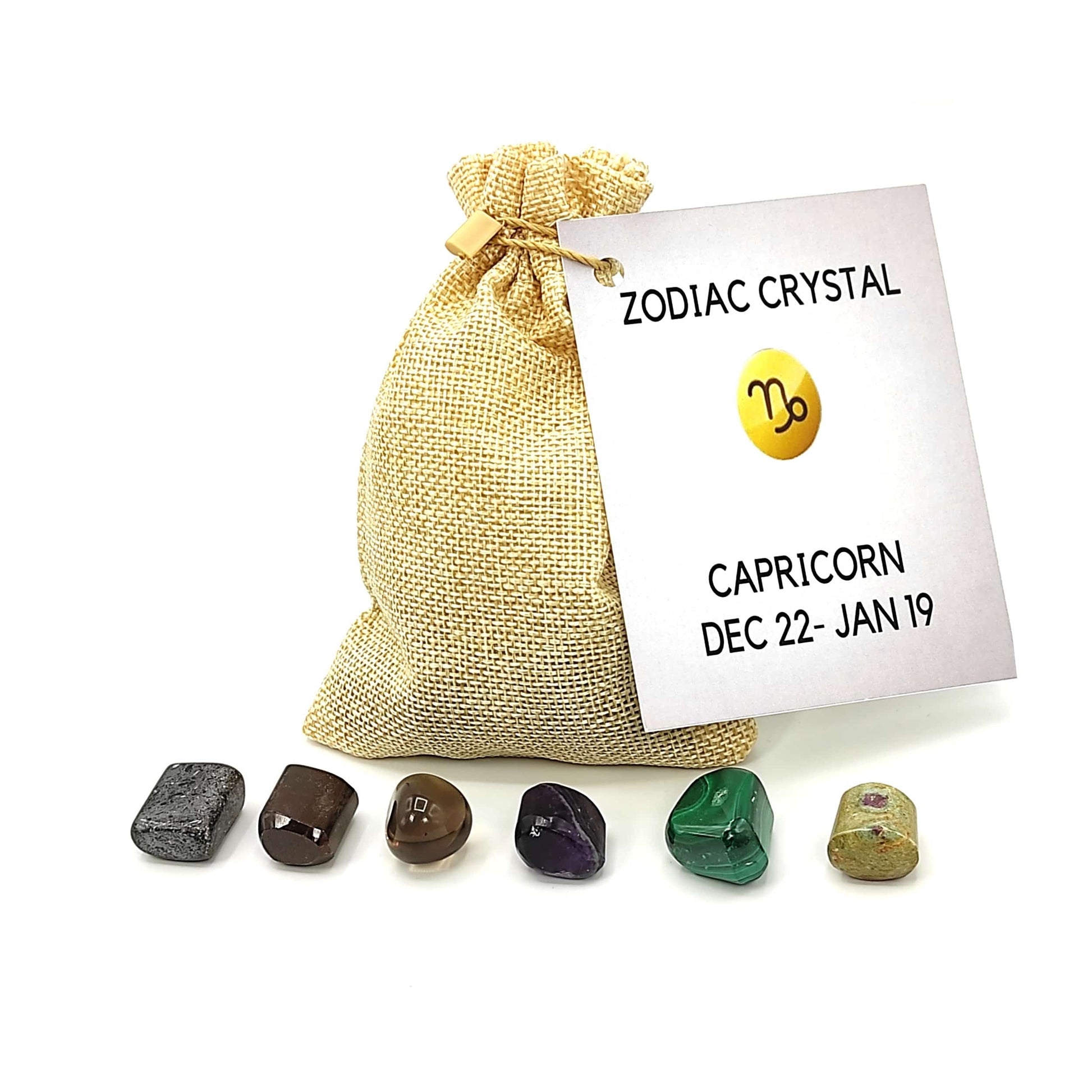 capricorn zodiac crystal bag