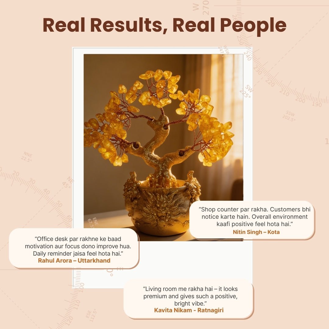 Citrine Crystal Money Tree for Wealth, Luck & Sunkissed Positivity for Home Decor & Vastu Gift - plusvalueindia