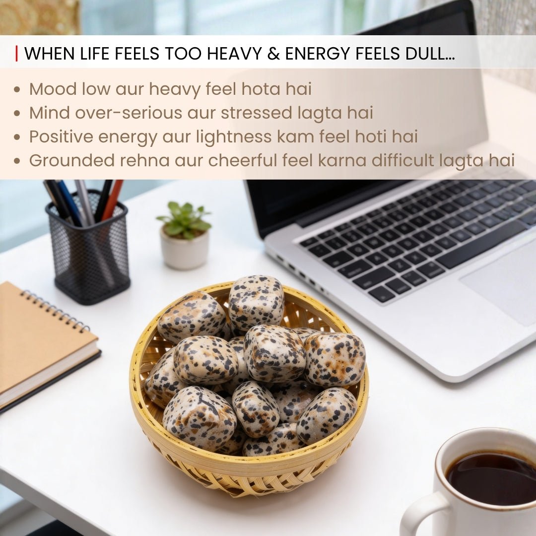 Dalmatian Jasper Tumbled Stone Pebbles - plusvalueindia