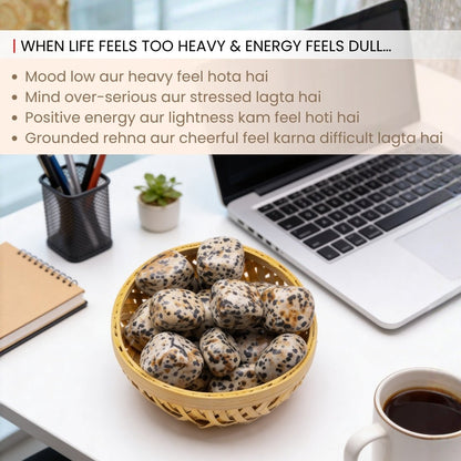 Dalmatian Jasper Tumbled Stone Pebbles - plusvalueindia