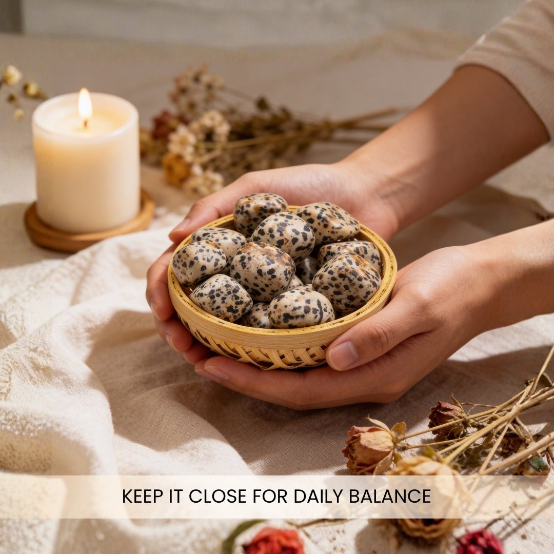 Dalmatian Jasper Tumbled Stone Pebbles - plusvalueindia