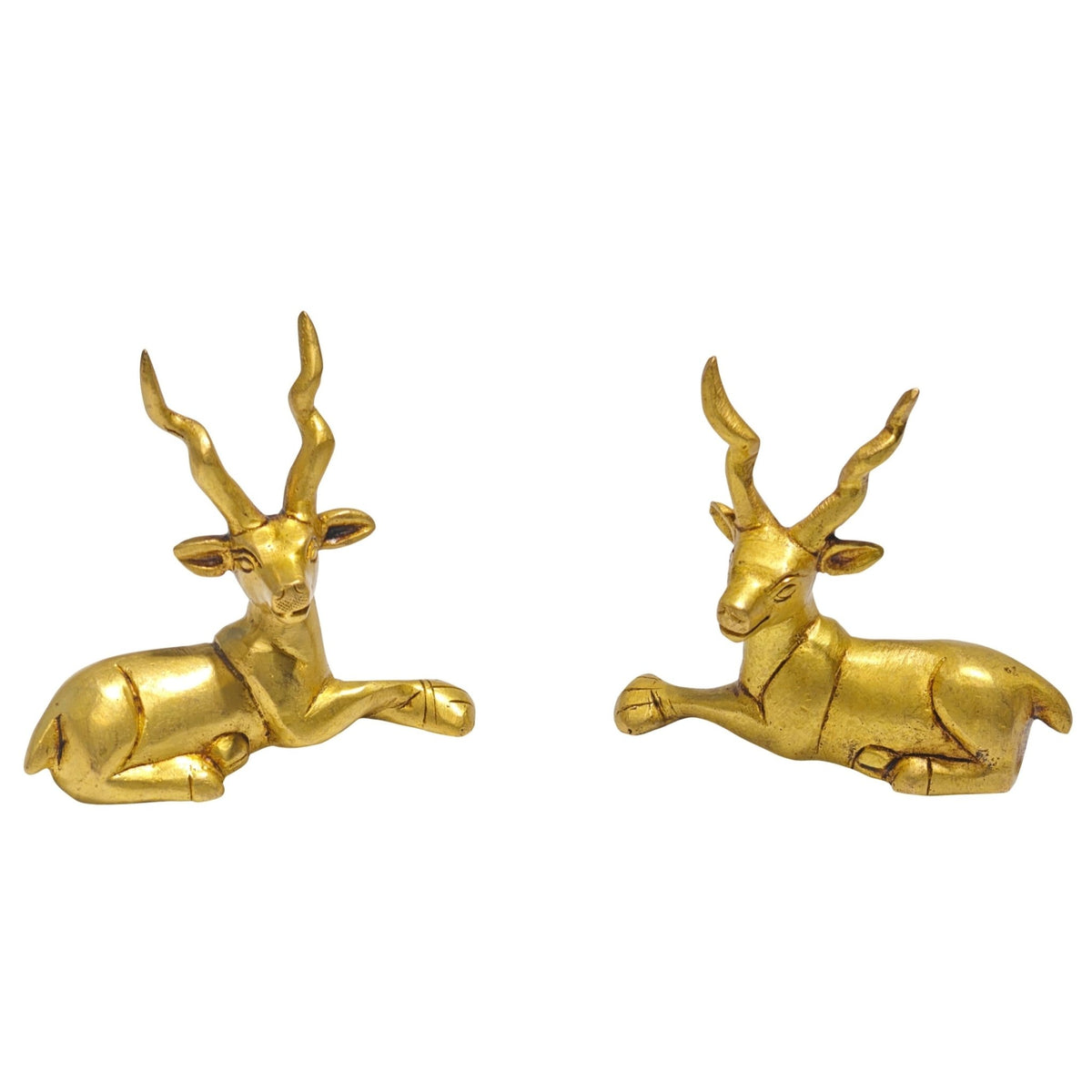 Scale measurement graphic showing height, base length, and width dimensions of both solid brass deer figurines