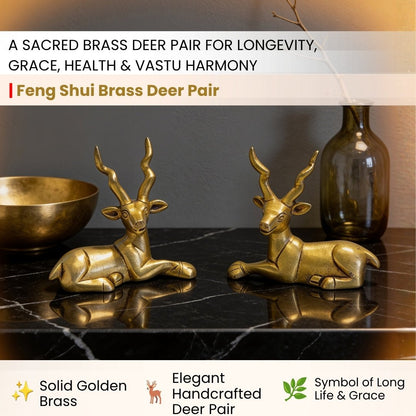Detailed macro shot showing lustrous golden brass polish, curved antlers, alert facial expression, and smooth body contours