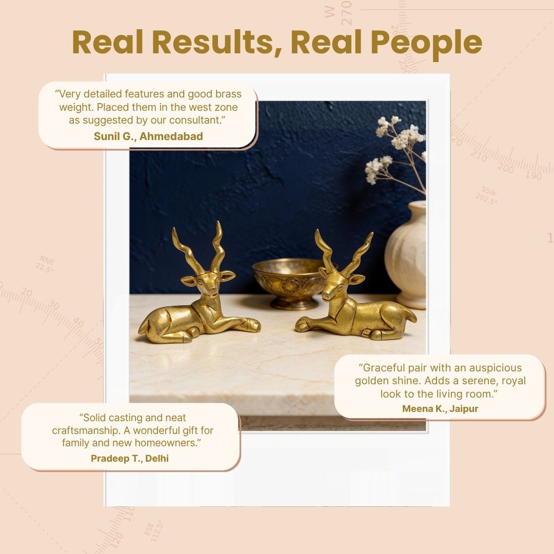 Set of two brass deer statues cushioned in custom foam lining inside a premium branded presentation gift box