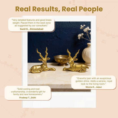 Set of two brass deer statues cushioned in custom foam lining inside a premium branded presentation gift box
