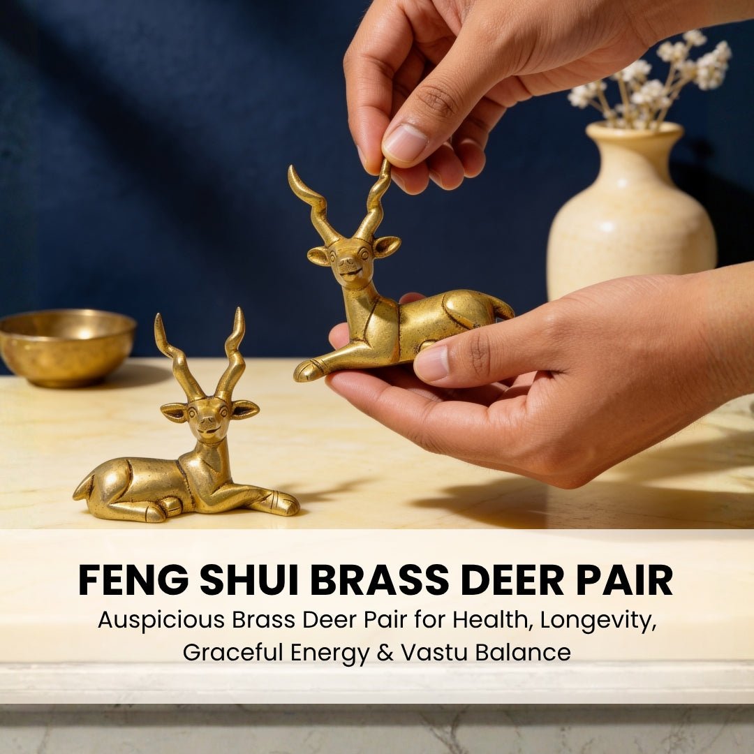 Brass deer couple styled on an executive wooden desk and living room shelf beside an indoor plant and books