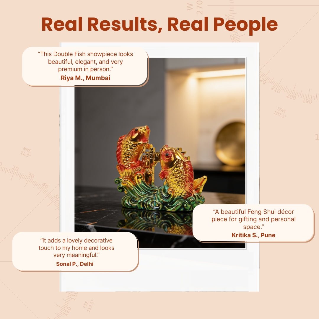 Feng Shui Double fish Twins Fish for Good Luck and Prosperity - plusvalueindia