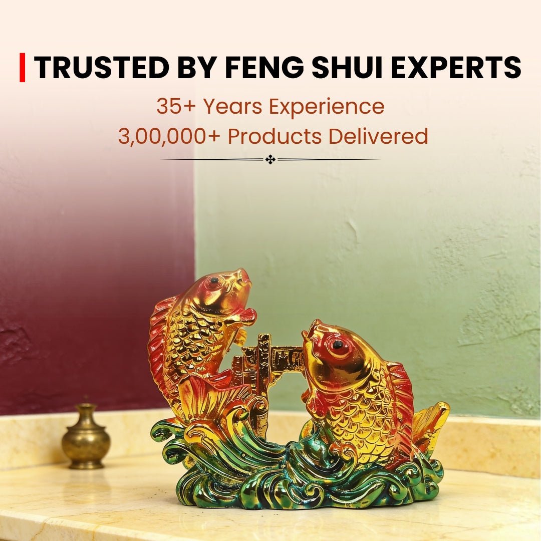 Feng Shui Double fish Twins Fish for Good Luck and Prosperity - plusvalueindia
