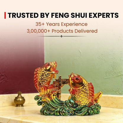 Feng Shui Double fish Twins Fish for Good Luck and Prosperity - plusvalueindia